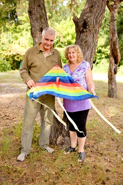 凧の飛行の愛のカップル — ストック写真