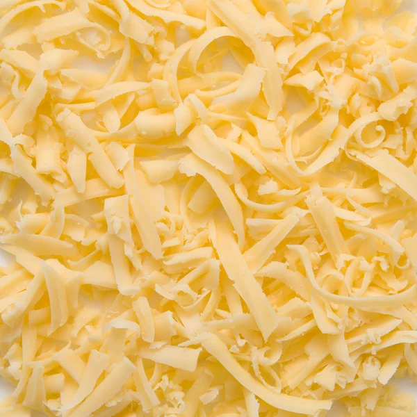 기른 치즈 — 스톡 사진