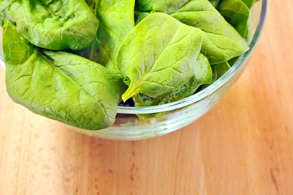 Ispanak salatası — Stok fotoğraf