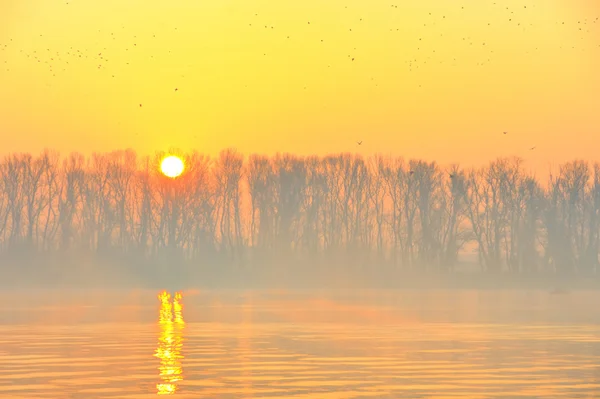 Nascer do sol no rio Danúbio — Fotografia de Stock