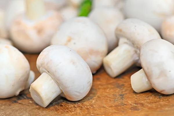 Closeup of raw flat mushrooms — Stock Photo, Image