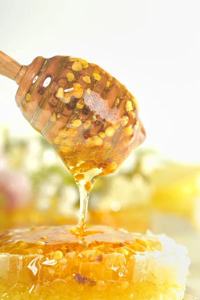 Flux de miel — Photo
