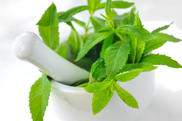 Mortar and mint leaves — Stock Photo, Image