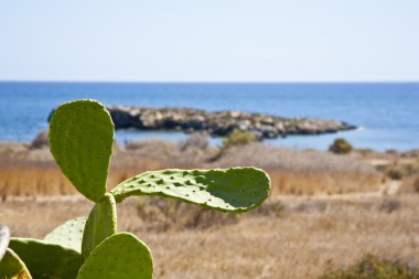 manzara Adası