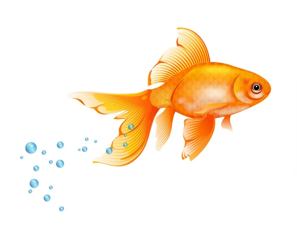 Золота рибка з бульбашками повітря . — стоковий вектор
