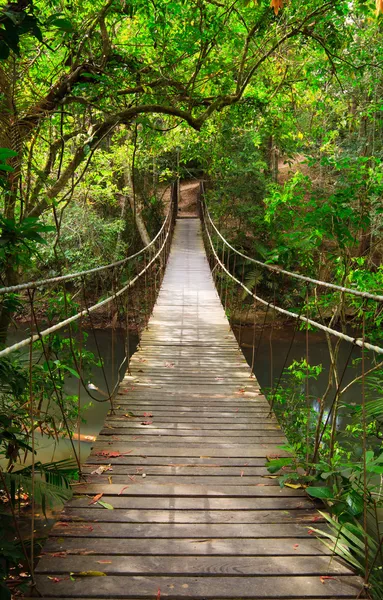 Мост в джунгли, национальный парк Кхао Яй, Таиланд — стоковое фото