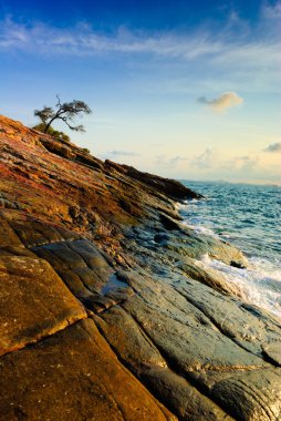 koh samet Island, Tayland gündoğumu Cape'de yalnız ağaçta