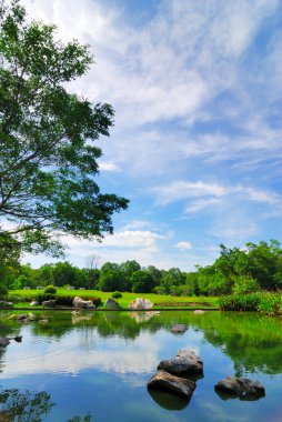 Garden pond clipart