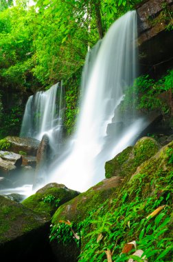 Waterfall at Loei,Thailand clipart