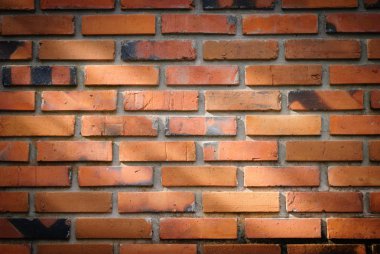 Red Brick wall with partial morning sun light