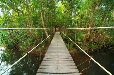 Bridge to the jungle,Khao Yai national park,Thailand clipart