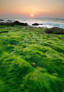 deniz manzarası gündoğumu, chonburi, Tayland, Pattaya