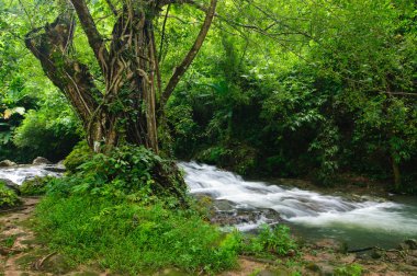 nakhon nayok, Tayland Sarika şelale