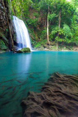 Erawan Waterfall, Kanchanaburi, Thailand clipart