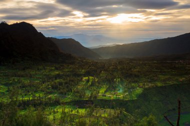 Mount bromo yanardağ, Doğu java, surabuya, Endonezya