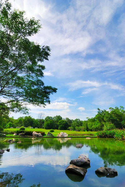 Jardin étang — Photo