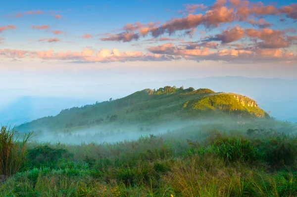 Landscape of misty mountain at sunrise with grass field foregrou — Stock Photo, Image