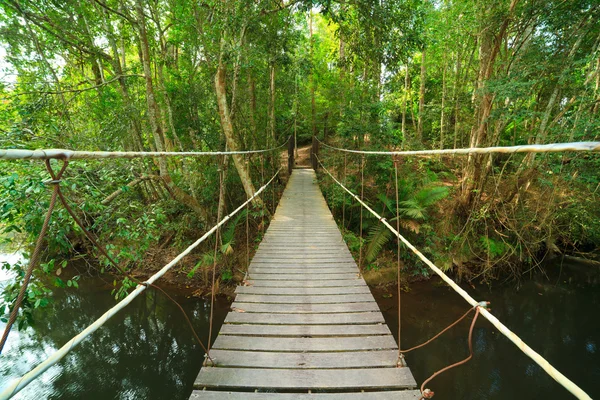 ジャングル、カオヤイ国立公園、タイへの橋します。 — ストック写真