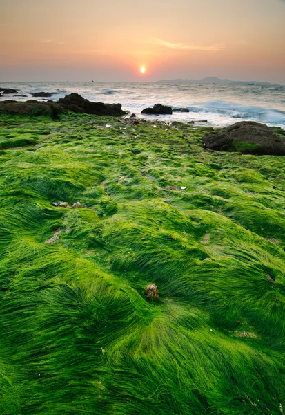 stock image Seascape of pattaya at sunrise,Chonburi, Thailand