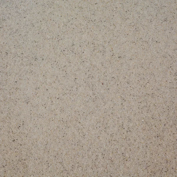 Drobnoziarnistych mokry piasek plaża tekstura tło — Zdjęcie stockowe