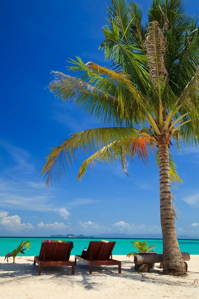 Sedie da spiaggia sotto una palma sull'isola Lipe, Thailandia — Foto Stock