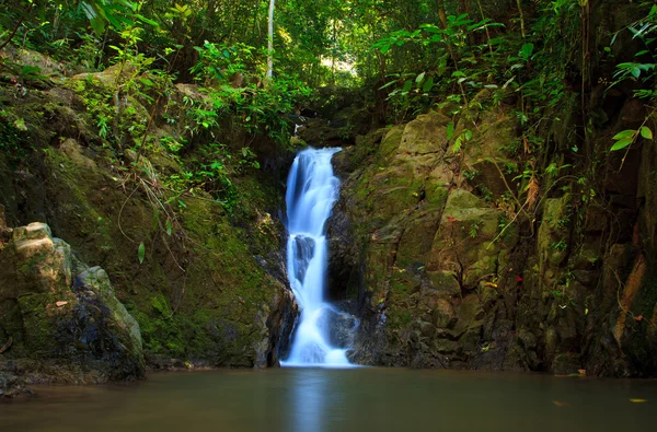 Vízesés a dzsungelben, Phuket, Thaiföld — Stock Fotó