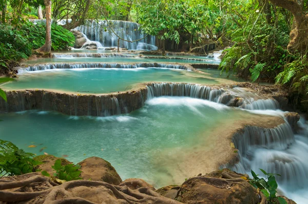 Kuang si vattenfall, luang prabang, laos Stockfoto