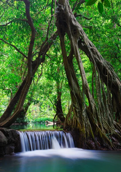 クラビ、タイで深い森林の滝 — ストック写真