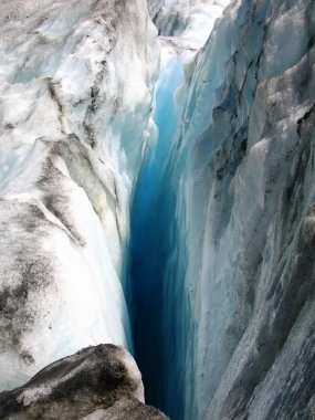 Fox glacier, Yeni Zelanda