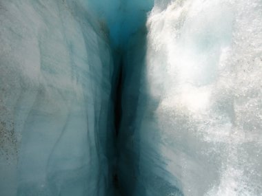 Fox glacier, Yeni Zelanda