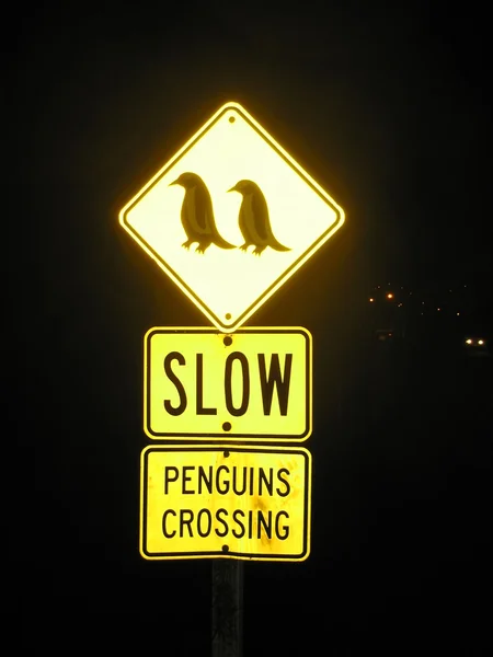 Знак "Пересечение пингвинов" в Новой Зеландии — стоковое фото