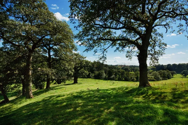 stock image British Countryside