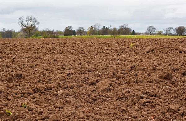 Campo agrícola recentemente escavado — Fotografia de Stock