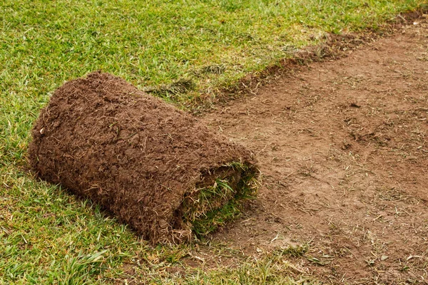 Rolka cięcia trawy na trawniku — Zdjęcie stockowe