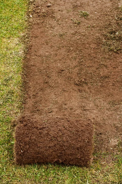 Frisch gemähter Rasen — Stockfoto