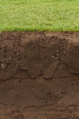 Trimmed Grass over exposed soil clipart