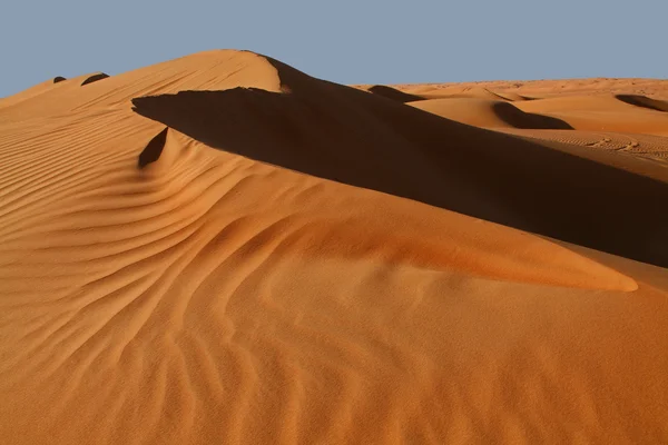 Sand dunes in a desert Rechtenvrije Stockafbeeldingen