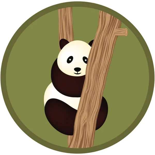Pandabär — Stockvektor