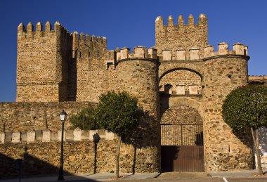 Castle of Monroy