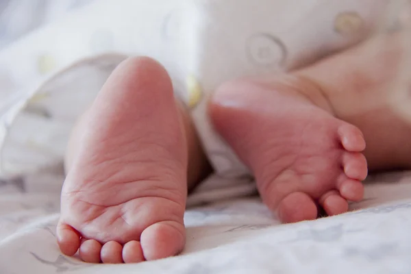 stock image Tiny baby pink toes