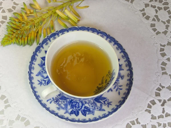 Aloe blossom tea — Stock Photo, Image