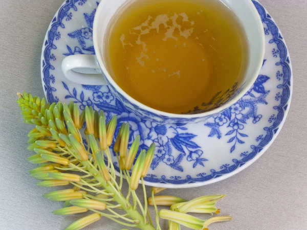 Aloe flower tea — Stock Photo, Image