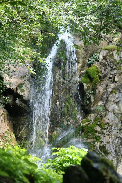 stock image Waterfall