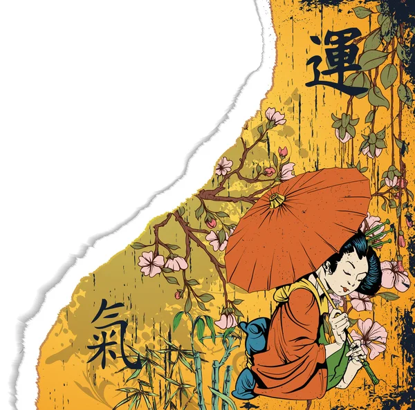 Cartón roto con geisha — Archivo Imágenes Vectoriales