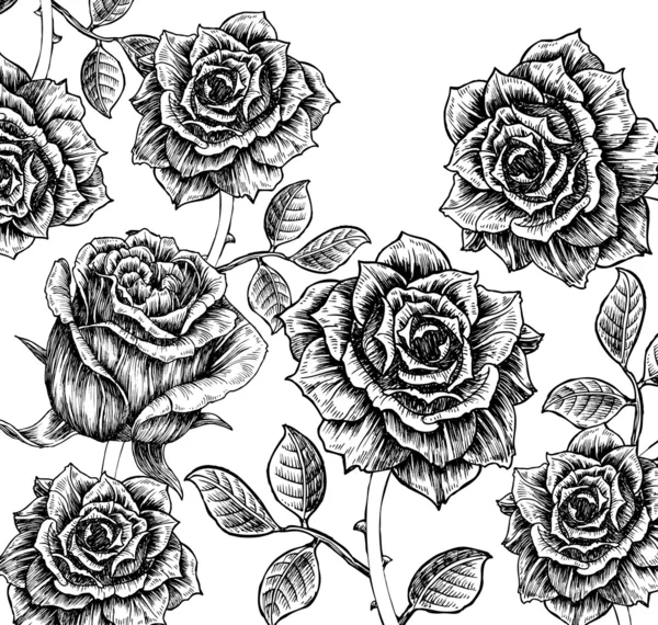 Fond floral avec des roses — Image vectorielle