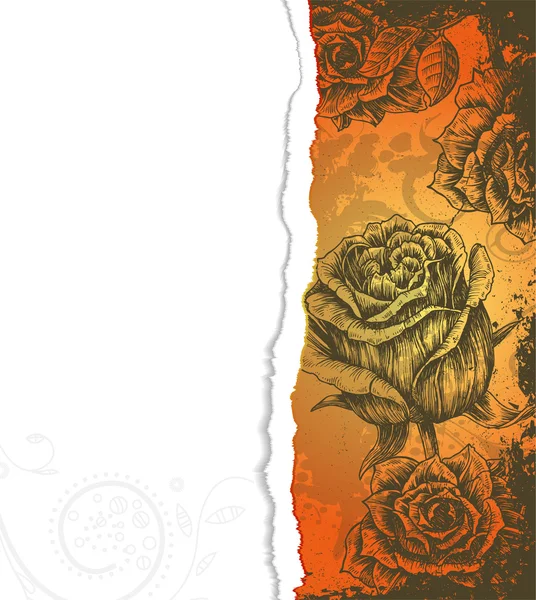 Cartón roto con rosas — Archivo Imágenes Vectoriales