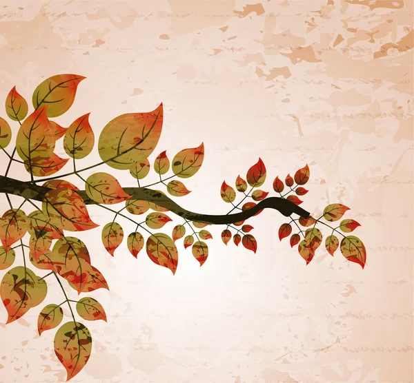 Grunge fond avec floral — Image vectorielle