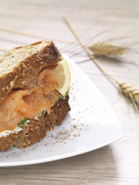 A salmon sandwich — Stock Photo, Image
