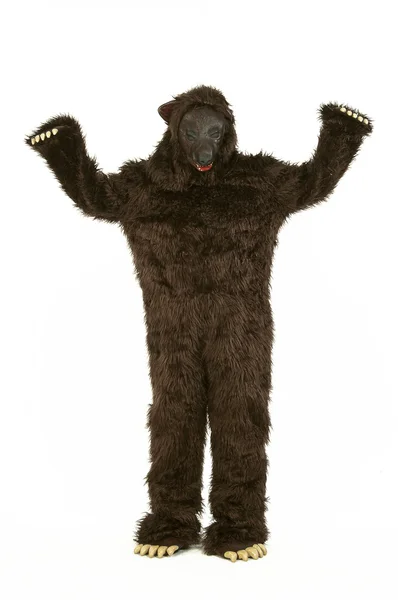 stock image Bear costume