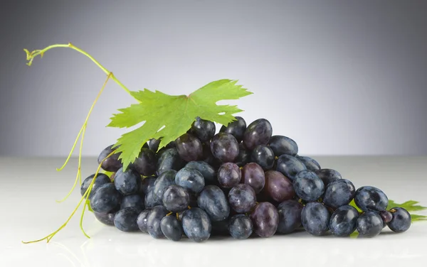 Czarny winogron — Zdjęcie stockowe
